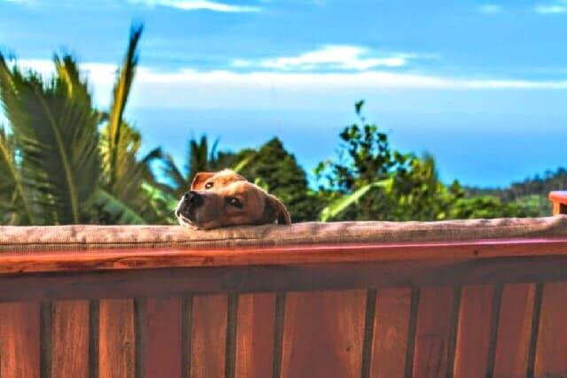 Camiguin Volcano Houses-Panoramic House Mambajao Exterior photo